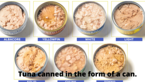 Tuna canned in the form of a can.