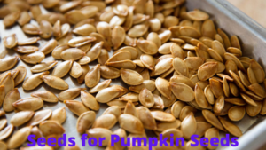 Seeds for Pumpkin Seeds